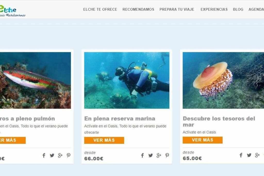 Stylish Rooms- Centro- * Elx